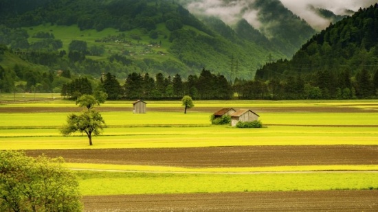 8 хил. собственици на имоти чакат промените в Закона за земеделските земи 