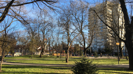 СО определи 1млн. лева за зелени зони и нови паркове  pic