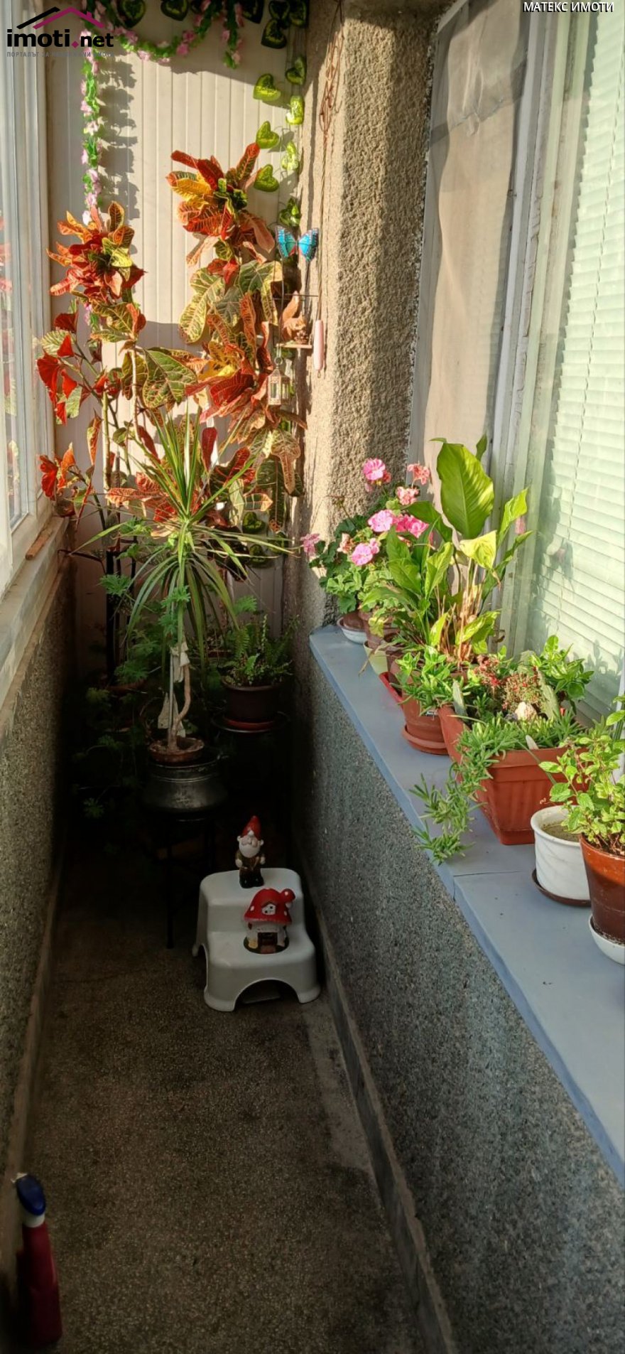 slider image